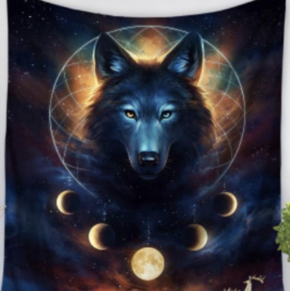 Wolf Moon Dreamcatcher Tapestry - Picture 1 of 1